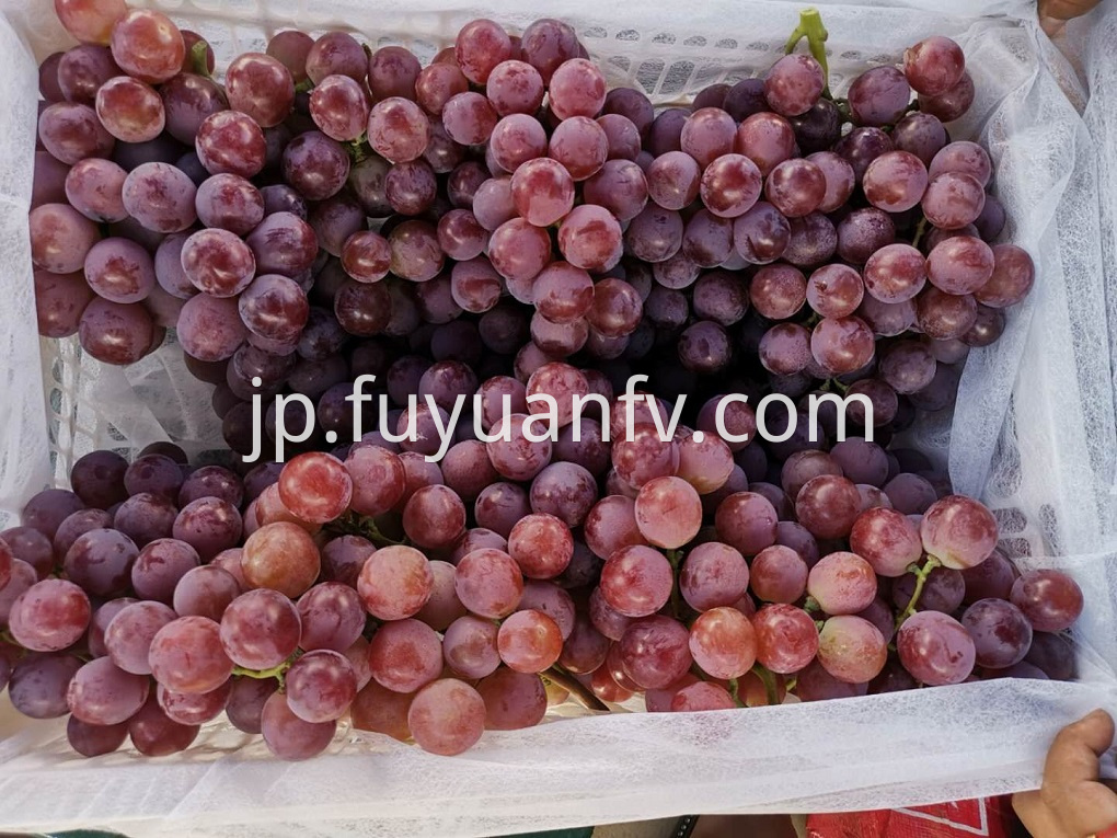 Fresh red grape